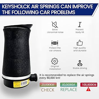 Amazon.com: KEIYSHOLCK Rear Air Suspension Springs
